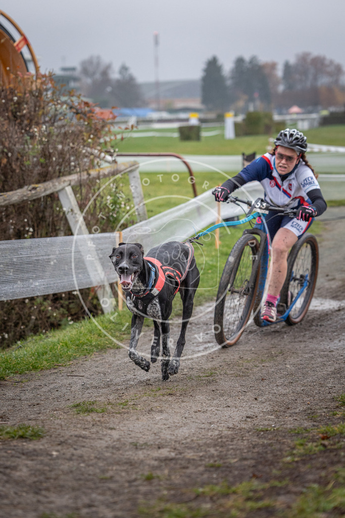 CaniXpix_0L8A0686 | Hundefotografie, Tierfotograf, Pfotenfotografie, Fotoshooting Hund, Hunde Portrait, Hundesport, Hundeportraits, Heideshooting, Hunde, Sportfotograf, Hundefotograf, Turnierhundsport, THS,  - Realisiert mit Pictrs.com