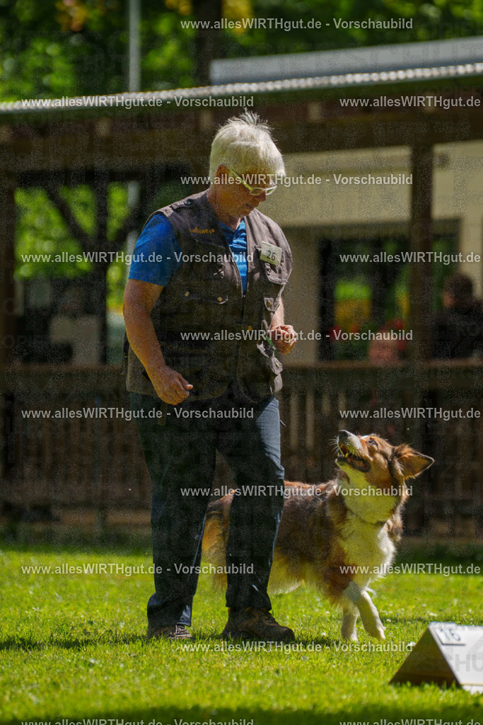 @allesWIRTHgut_Tierfotografie - www.allesWIRTHgut.de - 100722-7R508078 | Professionelle Tierfotografie in Mönchengladbach von Daniel Wirth (allesWIRTHgut). Liebevolle & natürliche Bilder von Hunden & Katzen für unvergessliche Erinnerungen.