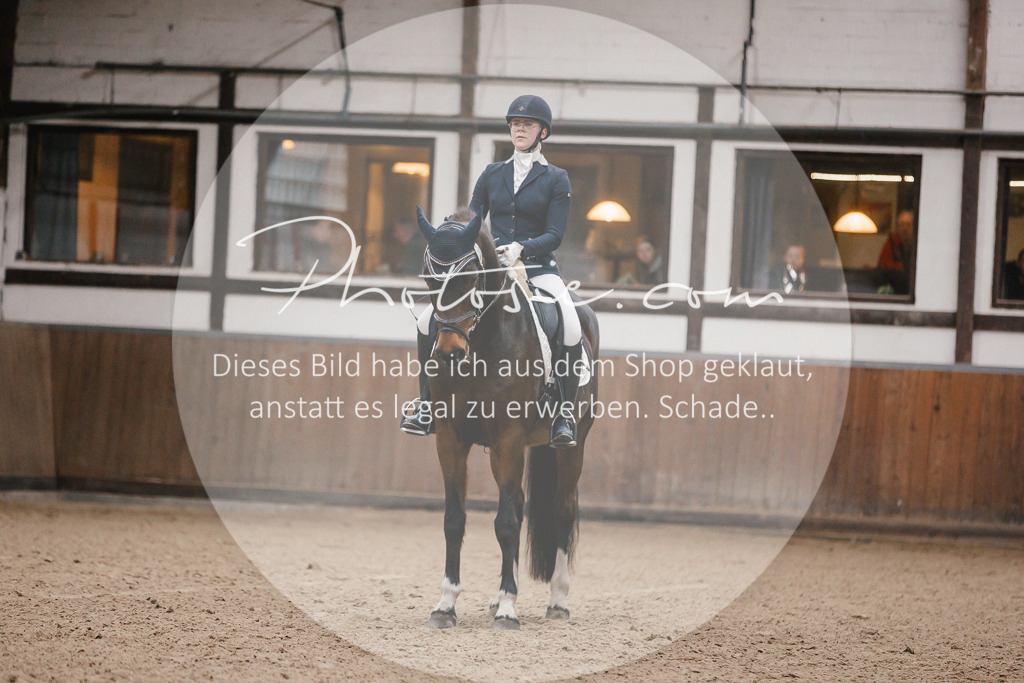 3I6A6029 | Stimmungsvolle Portraits und Reitsportfotografie im Ruhrgebiet und im Münsterland.

Pferdefotografie, Hundefotografie, Tierfotografie, Reportagen, Portraits von Tier und Mensch, Turnierfotografie in Bochum, Recklinghausen, Marl, Haltern am See, Dülmen.. - Realisiert mit Pictrs.com