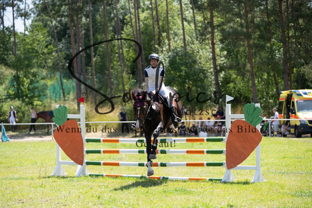 A7V05969 | Pferdefotograf