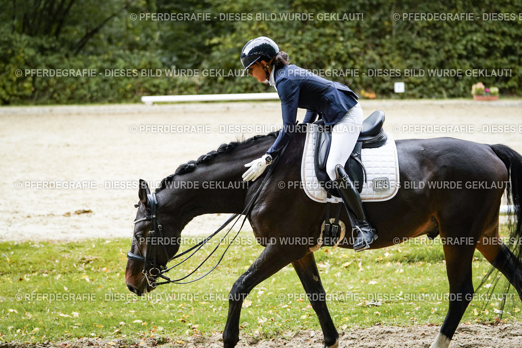 DSC00743 | Pferdegrafie