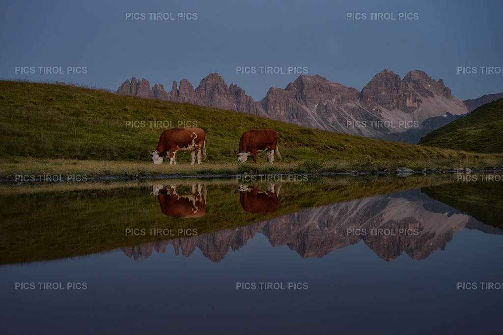 DSC_0691-Verbessert-RR-Bearbeitet | Tirolpics