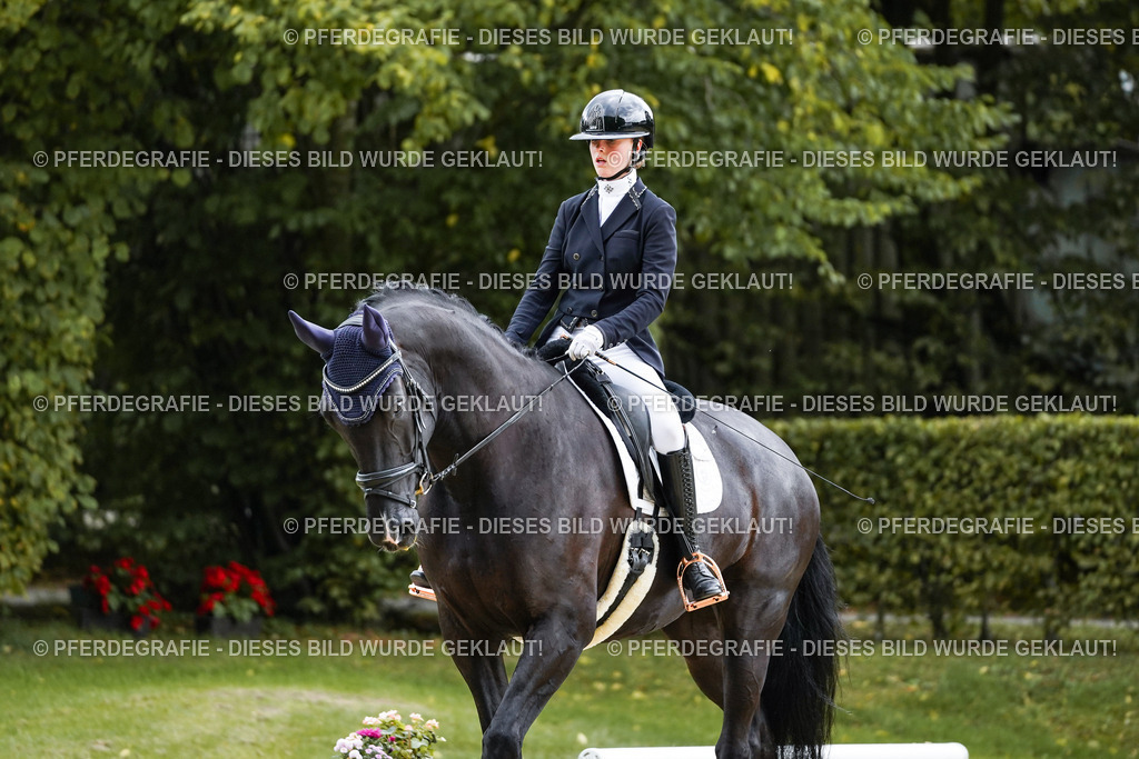 DSC06585 | Pferdegrafie