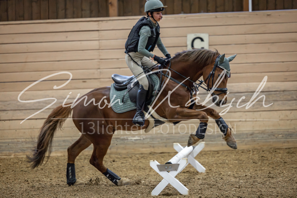 20260222-_3LI0711 | Tierfotografie Pferde, Hunde, Katzen, Haustiere.
Turnierfotografie Reitturniere, Reiten, Springreiten, Dressur in Hanau, dem Main-Kinzig-Kreis und dem Rhein-Main- Gebiet um Frankfurt