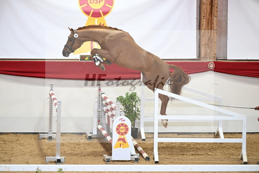 Kat.-Nr. 40 v. Zinedream_Retzlaff_2251270 | hf-fotografie - Realizzato con Pictrs.com