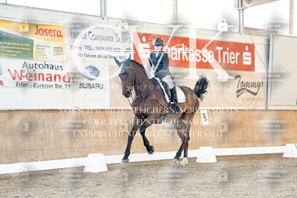 CK907311 | Turnierfotografie Pferdefotografie Trier Rheinland-Pfalz Pferdesport Reitsport Tierfotografie Sportfotografie Pferdevideo Pferdevideografie Equestrianvideography equestrianphotography  - Realisiert mit Pictrs.com