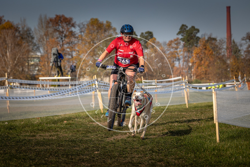 CaniXpix_0L8A7802 | Hundefotografie, Tierfotograf, Pfotenfotografie, Fotoshooting Hund, Hunde Portrait, Hundesport, Hundeportraits, Heideshooting, Hunde, Sportfotograf, Hundefotograf, Turnierhundsport, THS,  - Realisiert mit Pictrs.com