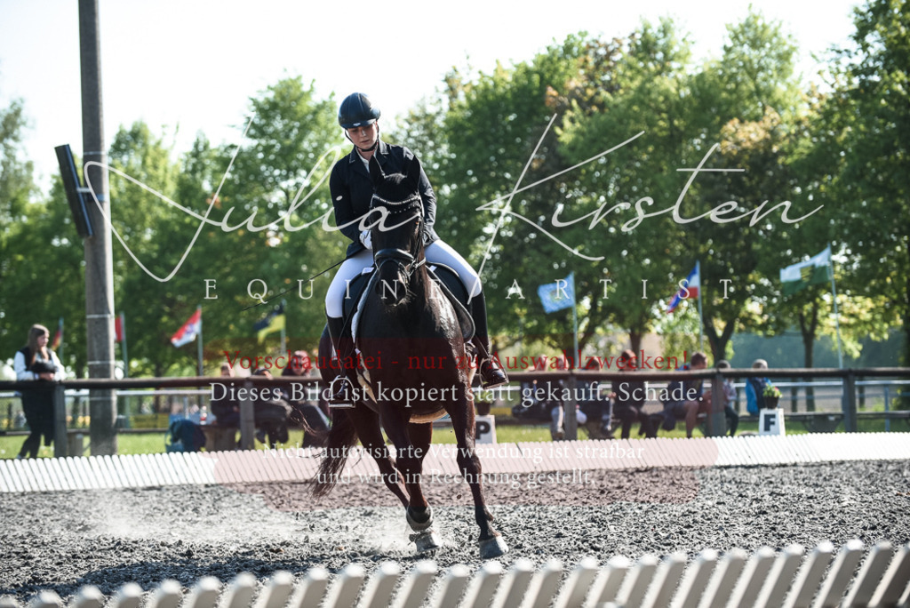 DSC_8630 | Pferde- und Turnierfotografie in Westsachsen. Pferdeportraits, Auftragszeichnungen und intuitive Kunst.