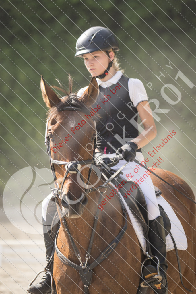 IMG_5788 | Sport-, Event- und Tierfotos in Profiqualität. Einfach auswählen, bestellen und herunterladen. Dein Moment – perfekt festgehalten.