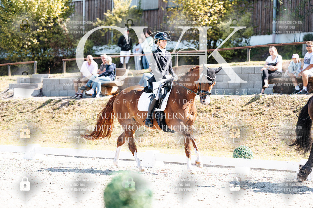 CK904097 | Turnierfotografie Pferdefotografie Trier Rheinland-Pfalz Pferdesport Reitsport Tierfotografie Sportfotografie Pferdevideo Pferdevideografie Equestrianvideography equestrianphotography  - Realisiert mit Pictrs.com