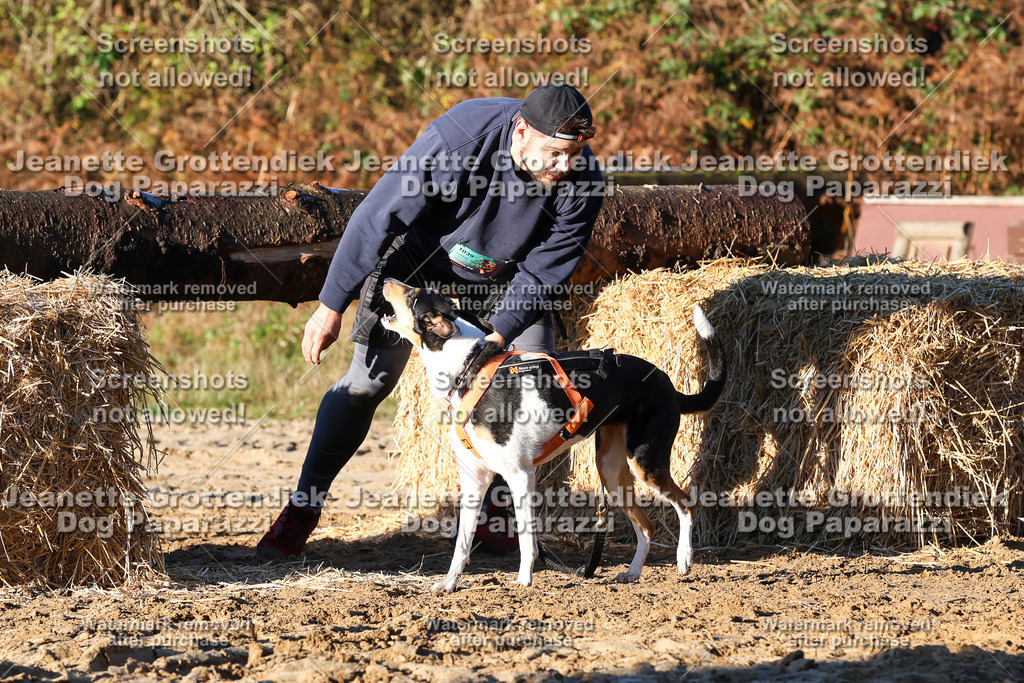 Dog Paparazzi - Strongdog 10-25-1098 | Dog Paparazzi Jeanette Grottendiek Fotografie & Videografie - Realisiert mit Pictrs.com