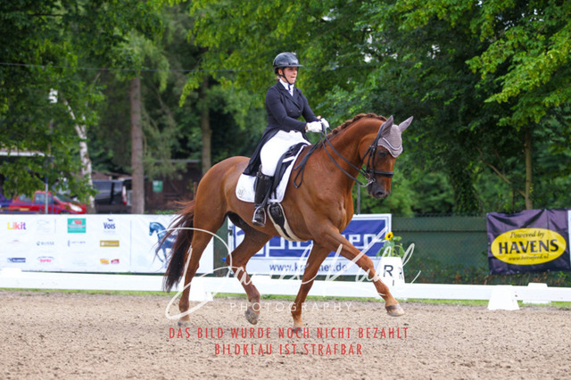 DKP41475 | Turniersportfotografie; Pferdefotografie; Dressurfotografie