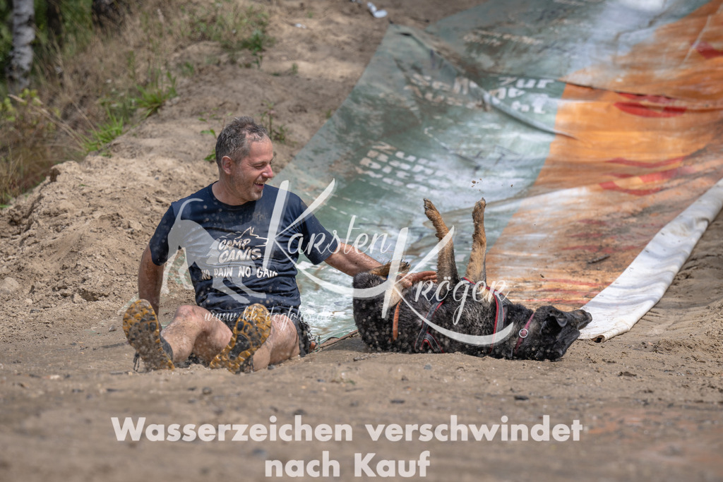 1242_ZZ93382 | kk-dogfotos