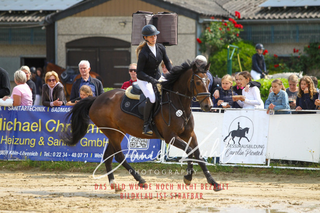 DKP41435 | Turniersportfotografie; Pferdefotografie; Dressurfotografie