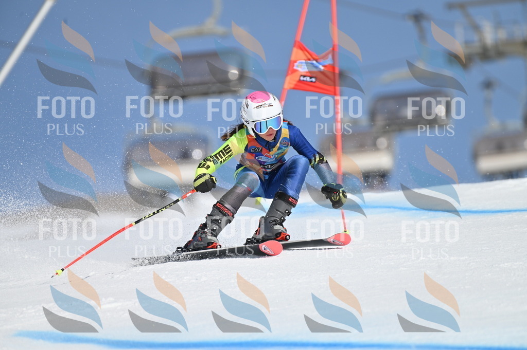 BGV_8804 | holidayphoto