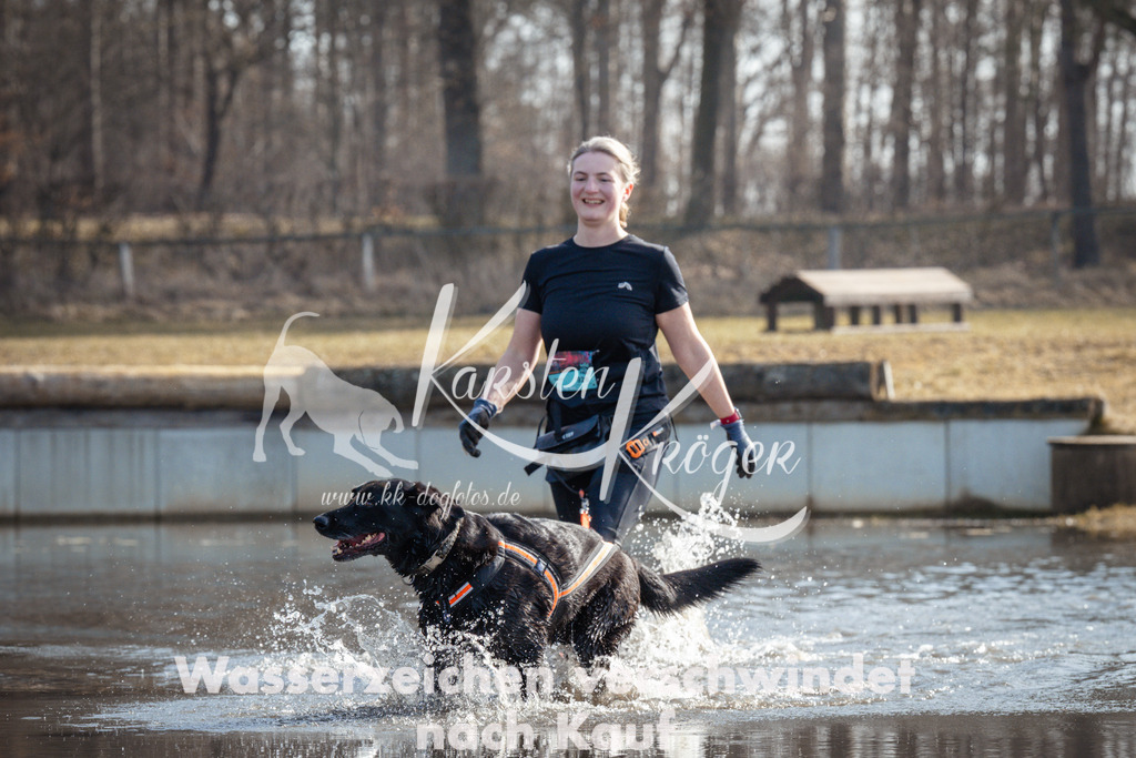 1119_ZZ93776 | kk-dogfotos