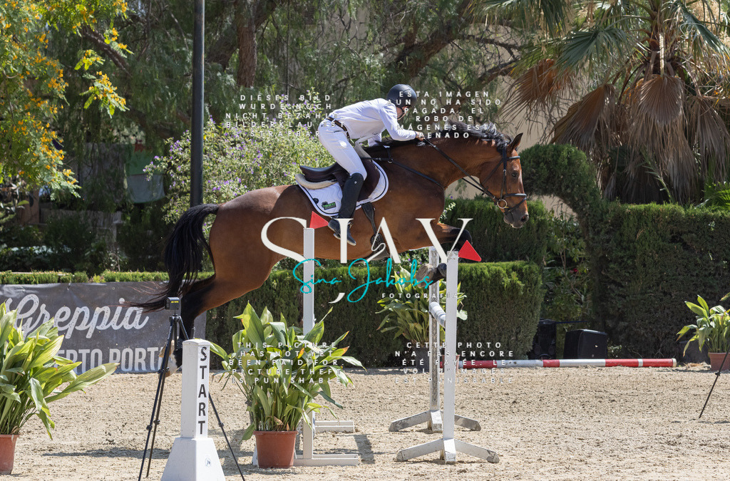 IMG_3496 | s-jay-photography - Realisiert mit Pictrs.com