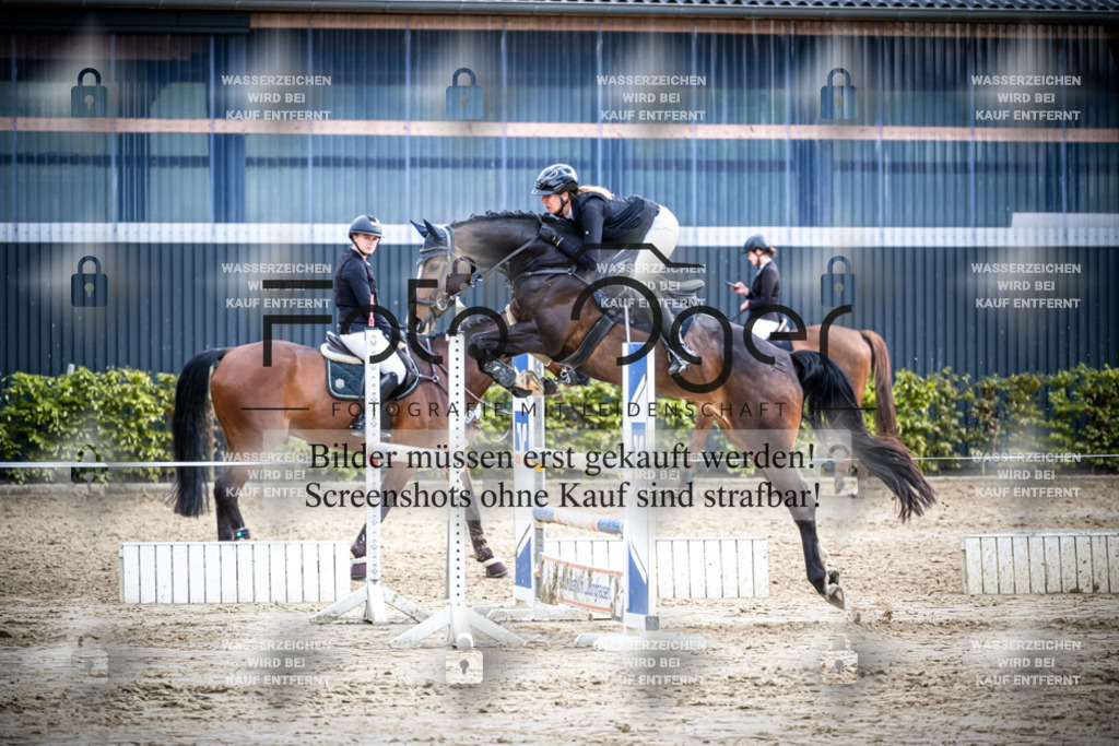 DOS_2511 | Reitturnier Lüdinghausen - Realisiert mit Pictrs.com