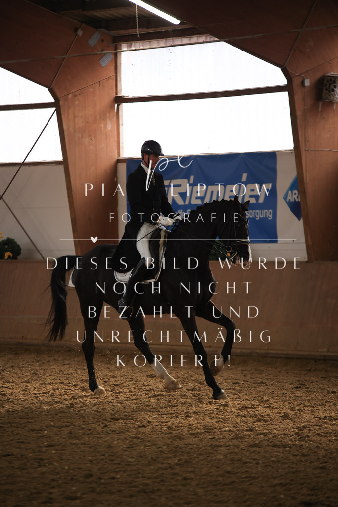 IMGT5341 | pl-fotografie