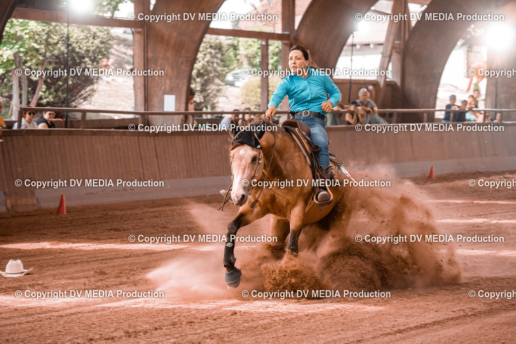 NE300684 | dv-media-shop - Realisiert mit Pictrs.com