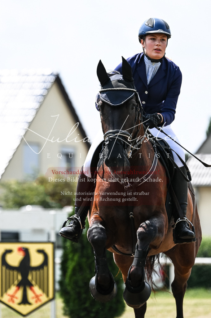 DSC_9208 | Pferde- und Turnierfotografie in Westsachsen. Pferdeportraits, Auftragszeichnungen und intuitive Kunst.