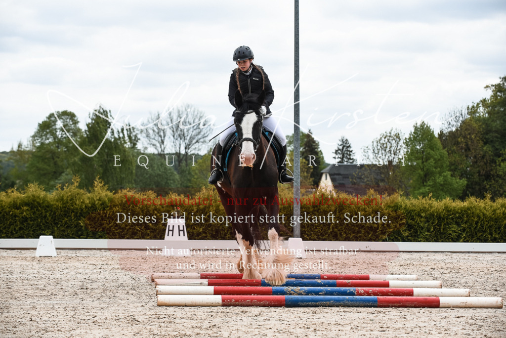 20230518_JK-Röhrsdorf-10-365 | Pferde- und Turnierfotografie in Westsachsen. Pferdeportraits, Auftragszeichnungen und intuitive Kunst.