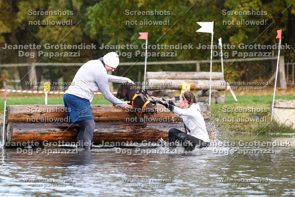 Dog Paparazzi - Strongdog 10-25-6801 | Dog Paparazzi Jeanette Grottendiek Fotografie & Videografie - Realisiert mit Pictrs.com