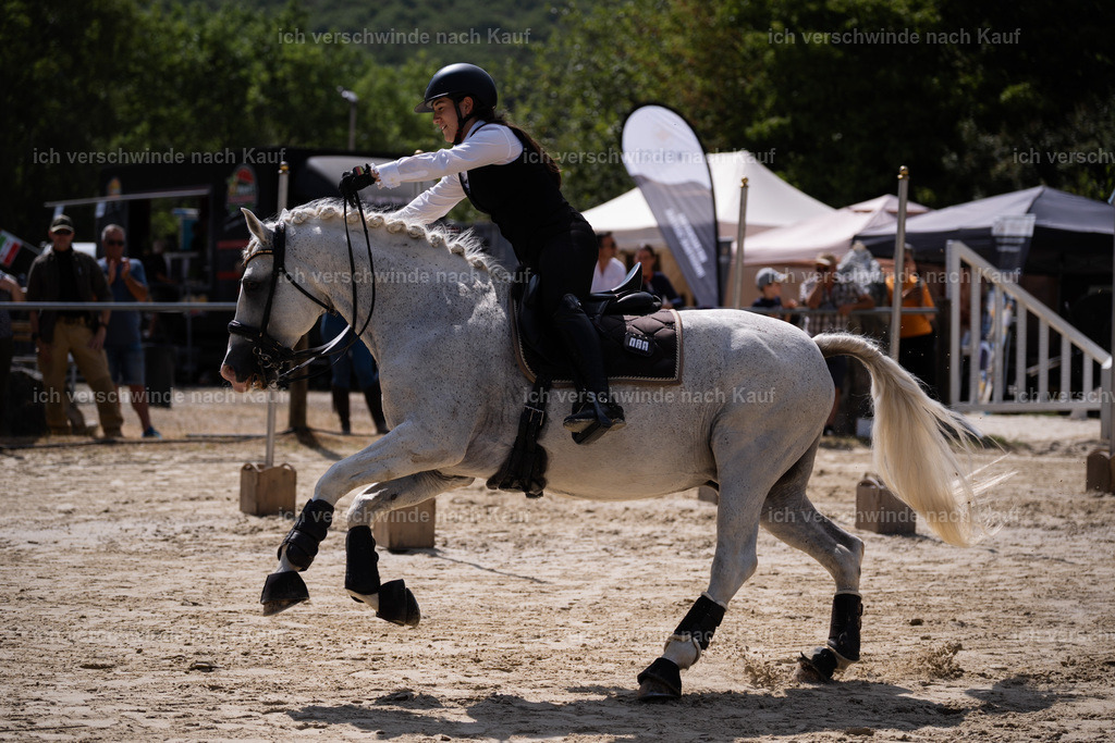 WM_SP_133_Stoibphotography_SO10423 | working equitationturnier fotograf videograf stoibphotography marixx film working equitation deutschland reitsport turnierfotografie eventfotografie equestrian events