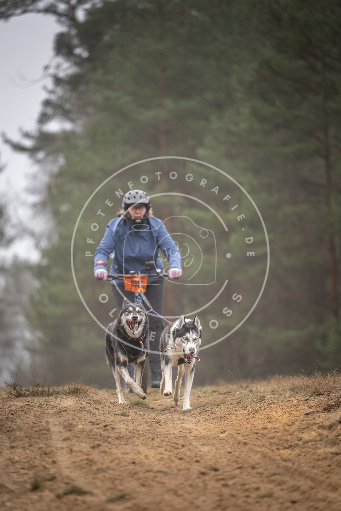 Pfotenfotografie_DV3A1202 | Hundefotografie, Tierfotograf, Pfotenfotografie, Fotoshooting Hund, Hunde Portrait, Hundesport, Hundeportraits, Heideshooting, Hunde, Sportfotograf, Hundefotograf, Turnierhundsport, THS,  - Realisiert mit Pictrs.com
