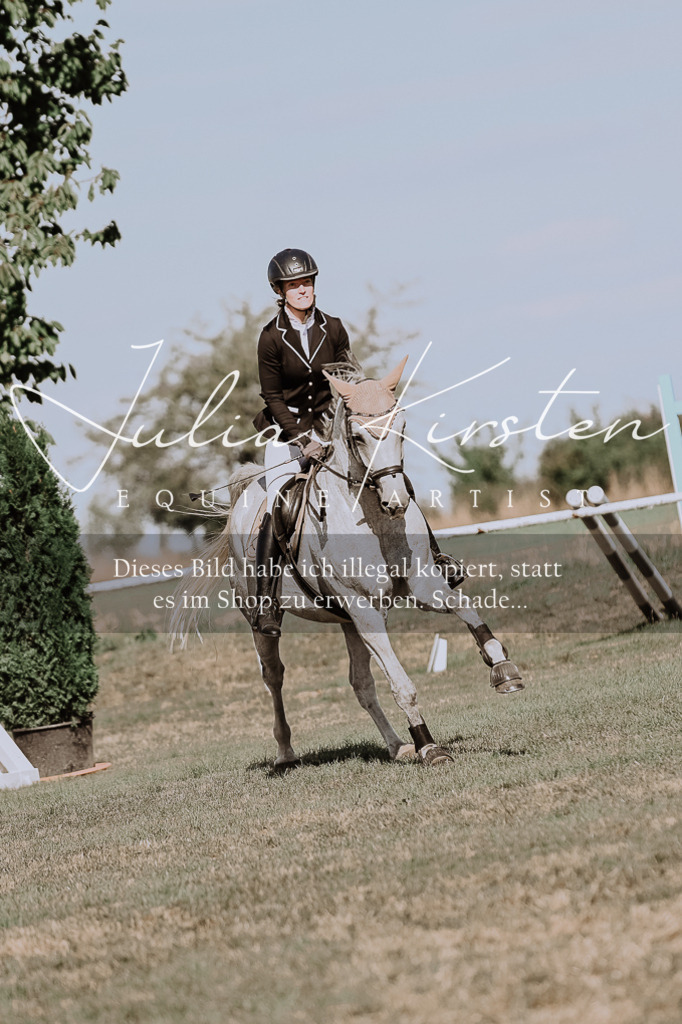 DSC_9490 | Pferde- und Turnierfotografie in Westsachsen. Pferdeportraits, Auftragszeichnungen und intuitive Kunst.