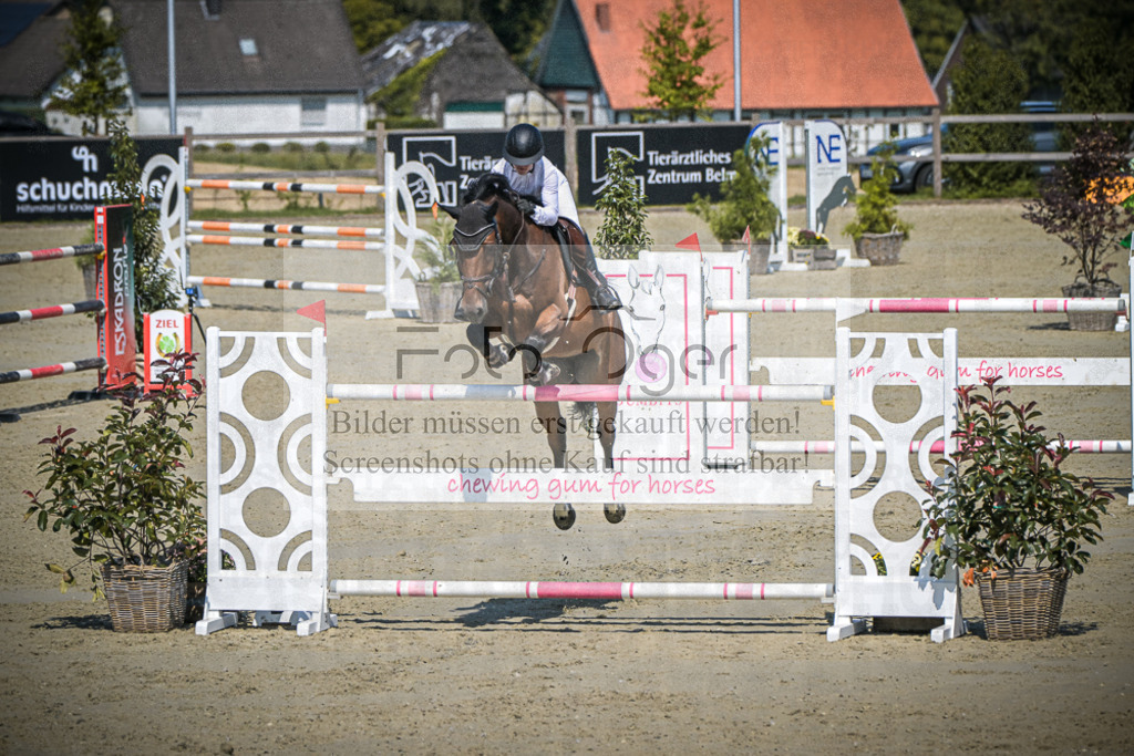 DOS_0617 | Entdecke hochwertige Reitturnierfotos von Foto Oger. Professionell, emotional und authentisch – jetzt Lieblingsmomente im Shop bestellen.Deutschlandweite Turnierfotografie. - Realisiert mit Pictrs.com