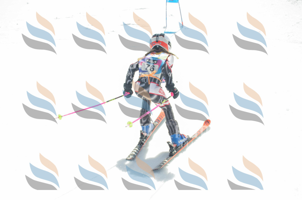 _ELE5505 | holidayphoto