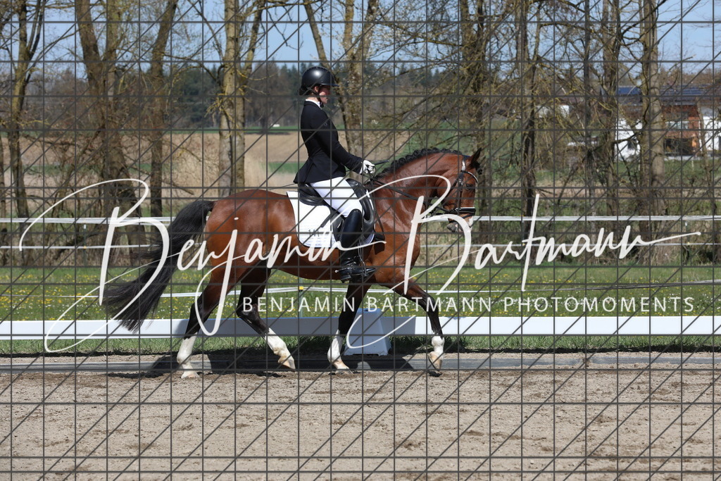 AZ2A4991 | Benjamin Bartmann Photomoments