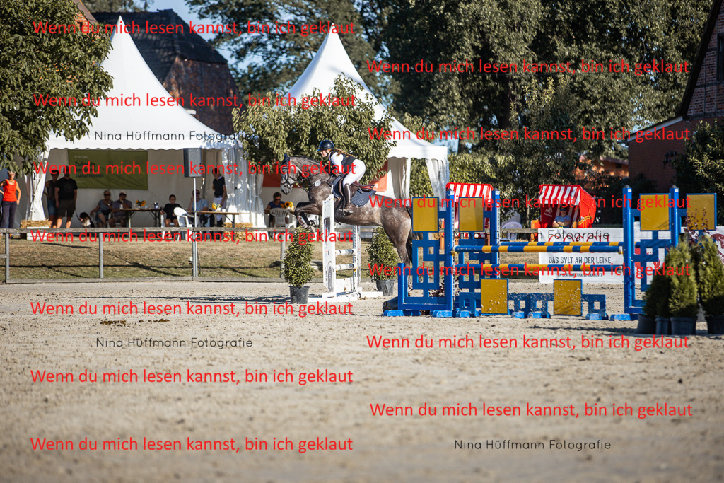 BK1A7746 | Turnierbilder Turnierfotos Nina Hüffmann Turnierfotografie Pferdefotografie Tierzeichnung Haustierzeichnung Pferdezeichnung Hundezeichnung Videograf  - Realisiert mit Pictrs.com