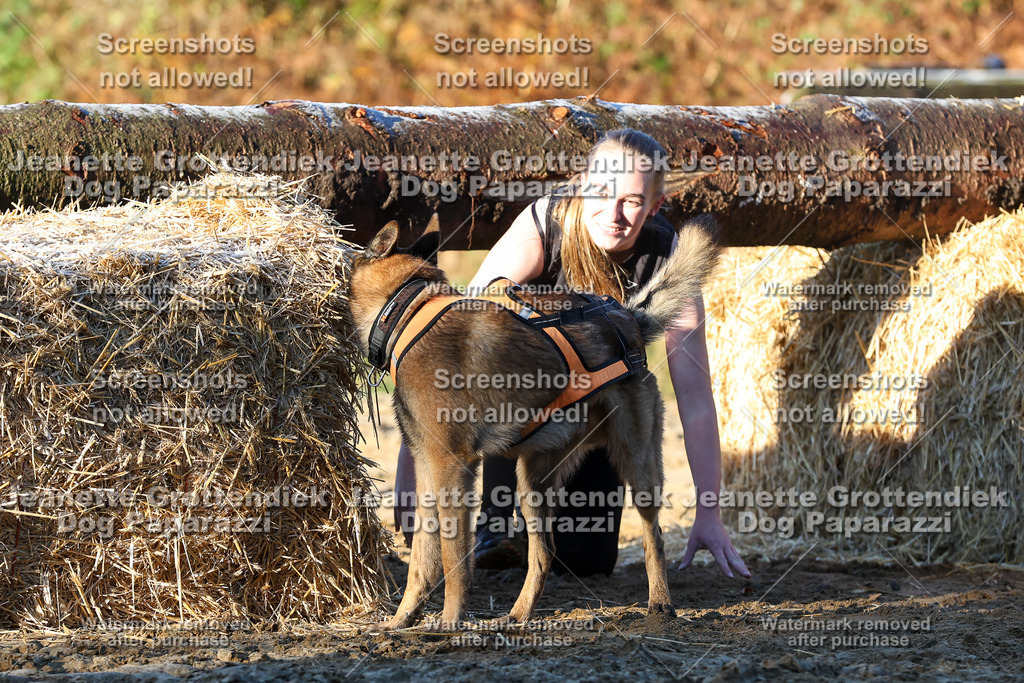 Dog Paparazzi - Strongdog 10-25-776 | Dog Paparazzi Jeanette Grottendiek Fotografie & Videografie - Realisiert mit Pictrs.com
