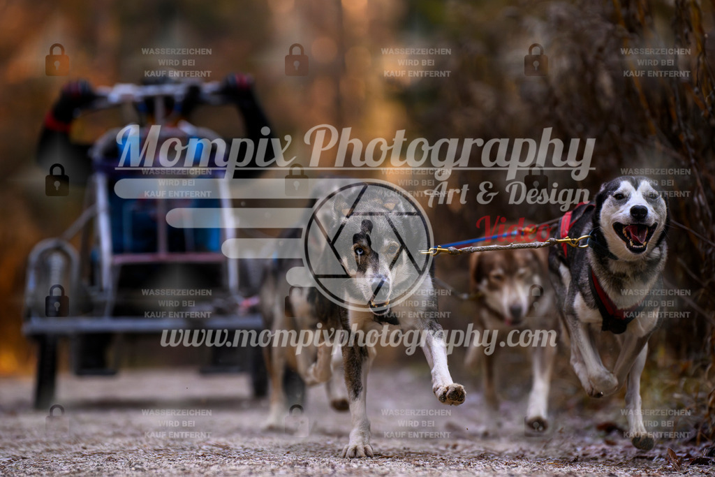 MompixPhotography_DM_AKDM_SO_2025_Wagen-65 | PayLife