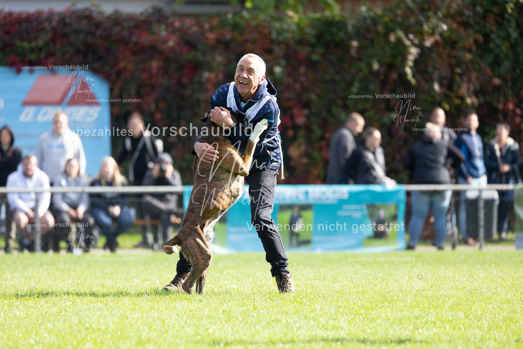 _16A5347 | Einzigartige Fotos von Hunden & Menschen –Actionfotos, Portraits, Vereinsaufnahmen & Paarshootings – authentisch, lebendig & mit Herz.