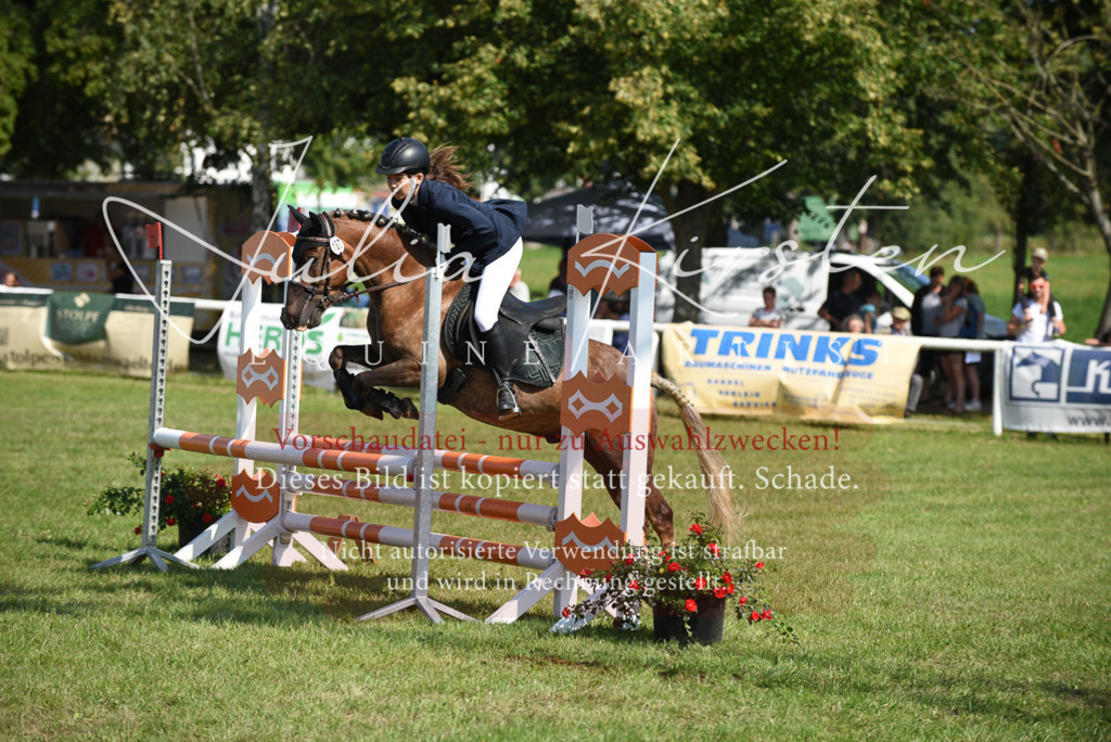 DSC_9069 | Pferde- und Turnierfotografie in Westsachsen. Pferdeportraits, Auftragszeichnungen und intuitive Kunst.