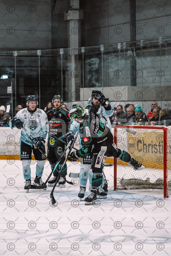Alligators_vs_Lindau_20_02_2026-10 | Höchstadt Alligators Fotogalerie: Eishockey-Action aus Franken. Professionelle Spielfotos, Portraits & Stadionbilder zum Download. Jetzt entdecken! - Realisiert mit Pictrs.com