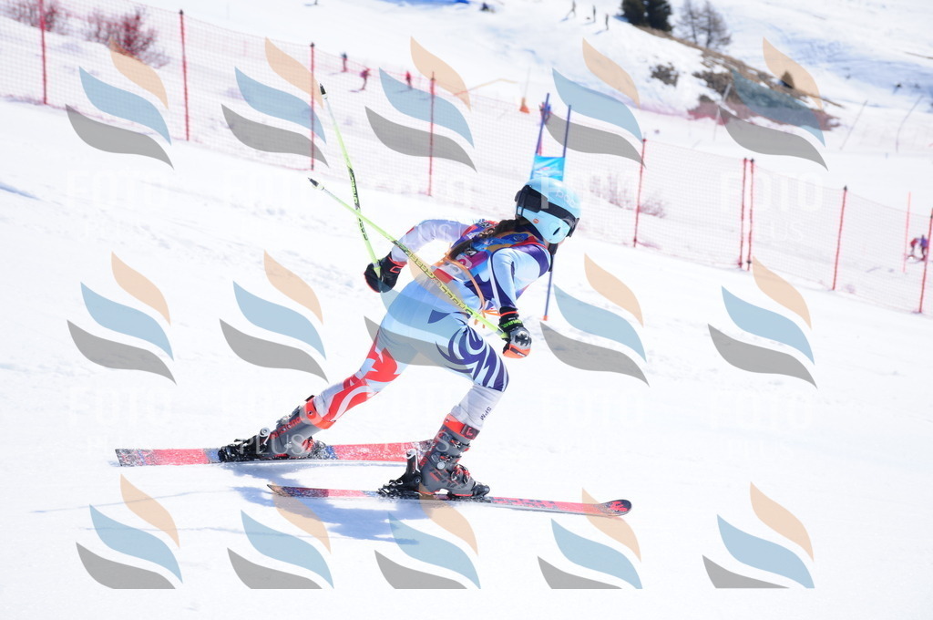 DSC_4956 | holidayphoto