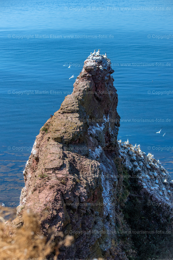 Helgoland Bastölpel_ELS_ELS_3346030818 | Helgoland - Aufnahmedatum: 03.08.2018, Aufnahmehöhe:  m, Koordinaten:  - , Bildgröße: 4871 x  7308 Pixel - Copyright 2018 by Martin Elsen, Kontakt: Tel.: +49 157 74581206, E-Mail: info@schoenes-foto.deSchlagwörter:Schleswig-Holstein,Landkreis Pinneberg,Düne,Hochseeinsel,Börteboote,Meer,Küste,Halunder,Oberland,Unterland,Strand,Seehunde,Robben,Lange Anna,Felsen,Roter Felsen,Luftbild,Luftbilder,Bastölpel - Realisiert mit Pictrs.com