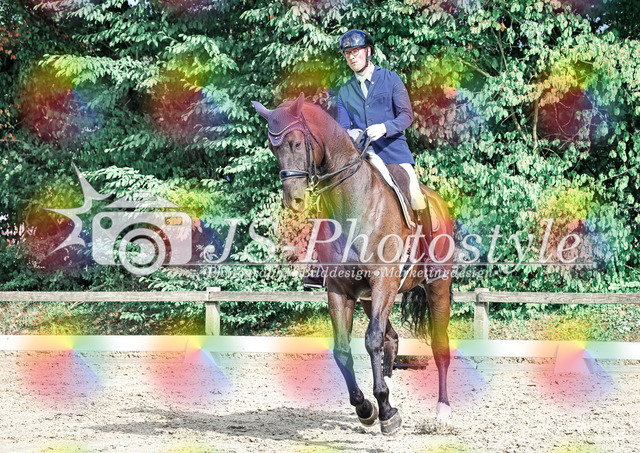 20250726_Dressurprüfung Kl.L Kandare-202 | JS-Photostyle - Sport-/Portrait- & Eventfotografie