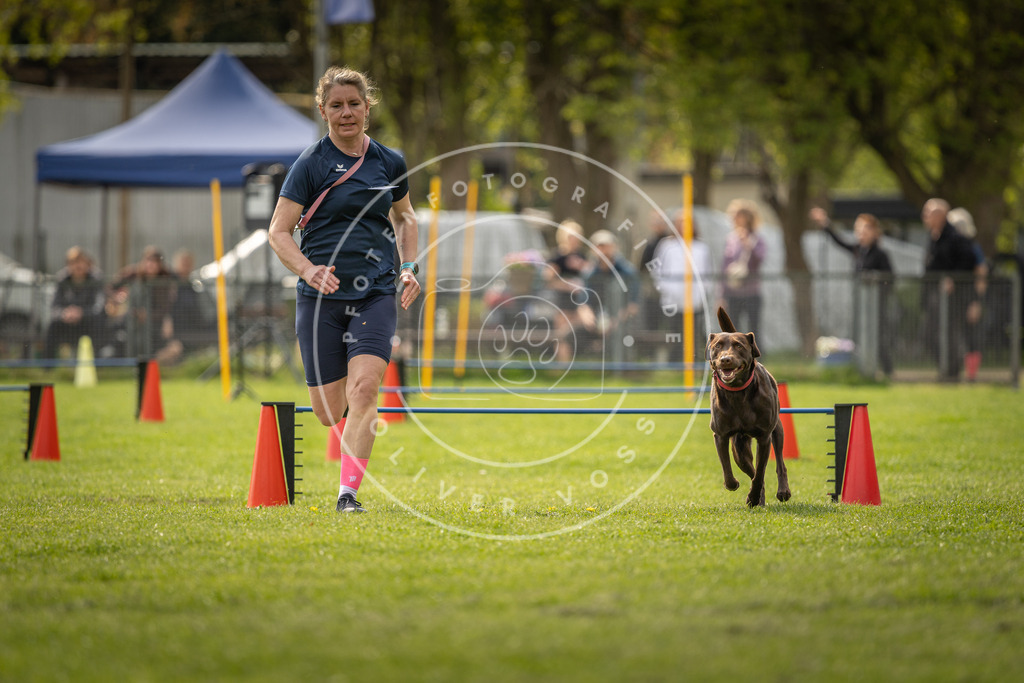 Pfotenfotografie_DV3A6049 | Hundefotografie, Tierfotograf, Pfotenfotografie, Fotoshooting Hund, Hunde Portrait, Hundesport, Hundeportraits, Heideshooting, Hunde, Sportfotograf, Hundefotograf, Turnierhundsport, THS,  - Realisiert mit Pictrs.com