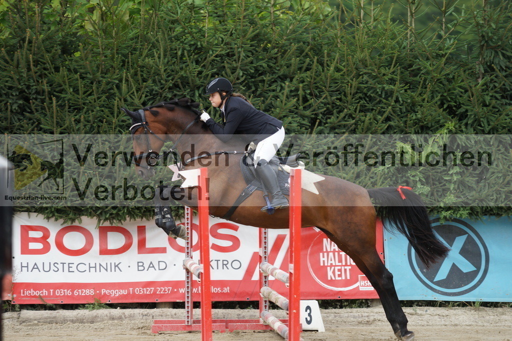 DSC03323 | equestrian-live-com