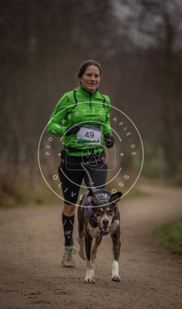 Pfotenfotografie_DV3A2784 | Hundefotografie, Tierfotograf, Pfotenfotografie, Fotoshooting Hund, Hunde Portrait, Hundesport, Hundeportraits, Heideshooting, Hunde, Sportfotograf, Hundefotograf, Turnierhundsport, THS,  - Realisiert mit Pictrs.com
