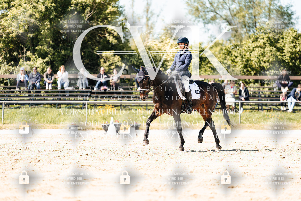 CK905284 | Turnierfotografie Pferdefotografie Trier Rheinland-Pfalz Pferdesport Reitsport Tierfotografie Sportfotografie Pferdevideo Pferdevideografie Equestrianvideography equestrianphotography  - Realisiert mit Pictrs.com