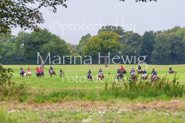 Jagd Perdoel 26 Sony-03715_MarinaHewig | Fotografie, FotoArt, PferdesportArt, Pferdesportfotografie, Landschaftsfotografie, Reisefotografie, Reise, Pferde - Realisiert mit Pictrs.com