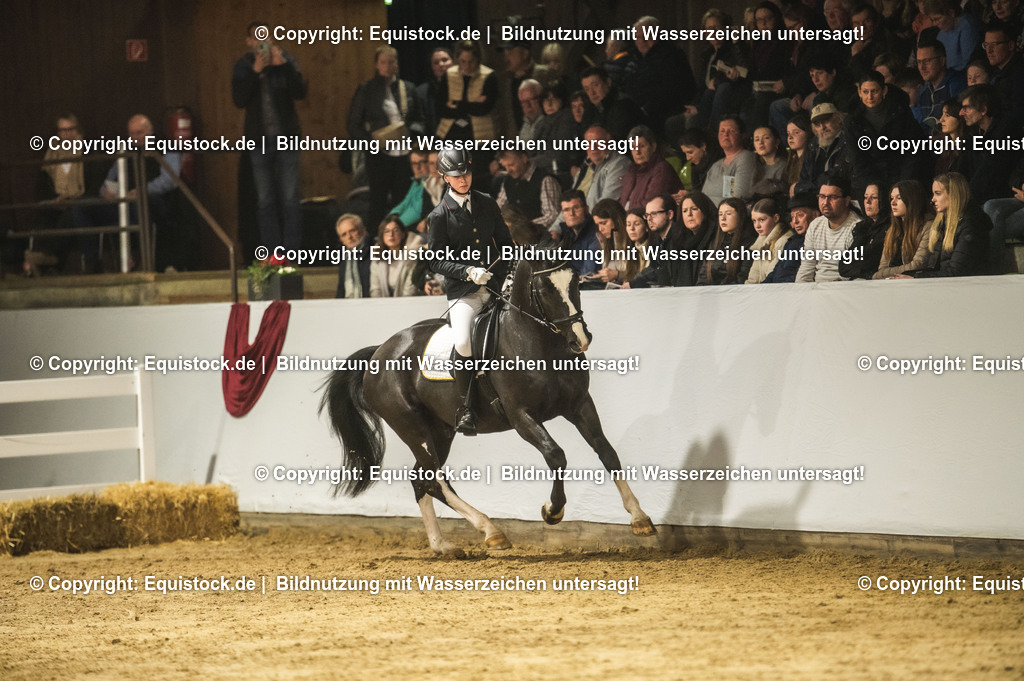 20240302_Hengstvorstellung_Marbach_TOMsPiC_0681-2 | equistock