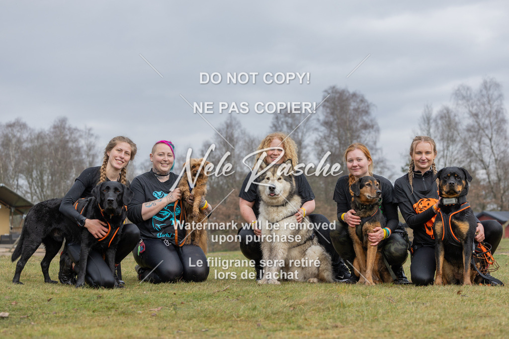 nelerasche_1330-1400_125 | nelerasche