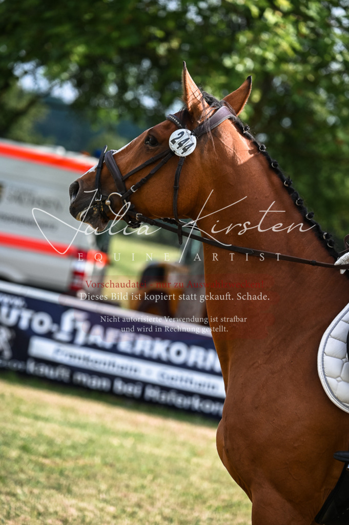 DSC_7687 | Pferde- und Turnierfotografie in Westsachsen. Pferdeportraits, Auftragszeichnungen und intuitive Kunst.